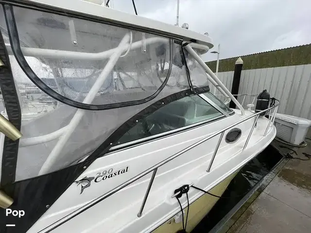 Wellcraft 290 Coastal