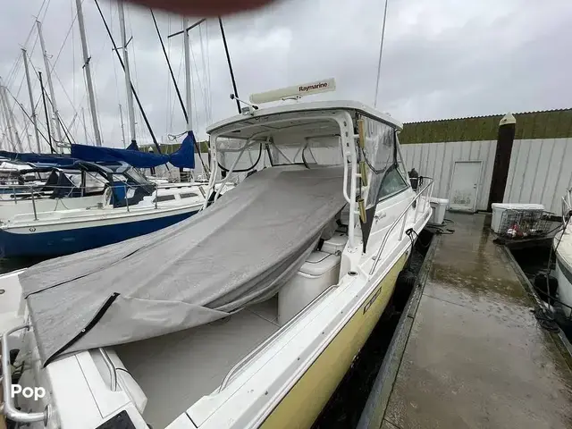 Wellcraft 290 Coastal