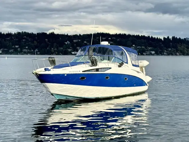 Bayliner 325