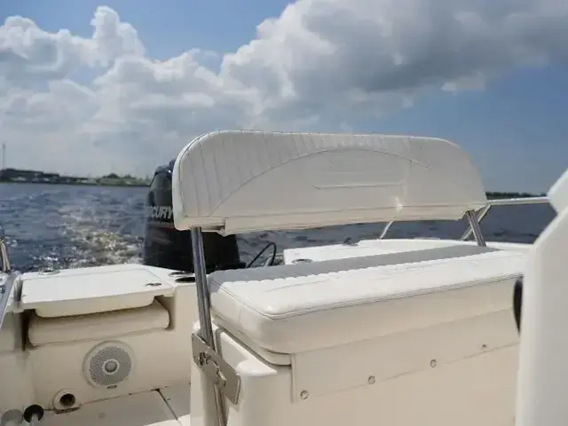 Boston Whaler 170 Dauntless