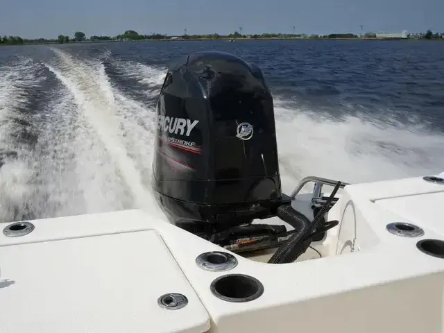 Boston Whaler 170 Dauntless