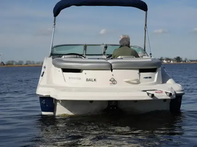 Sea Ray 185 Sport