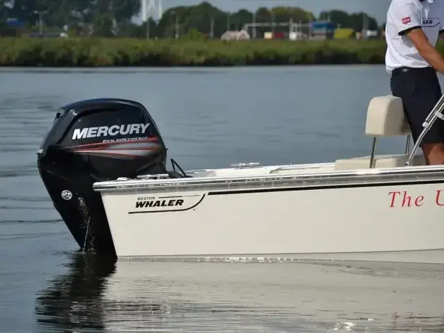 Boston Whaler 170 Montauk