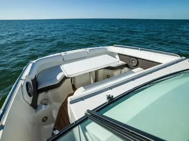 Sea Ray 250 Sdx