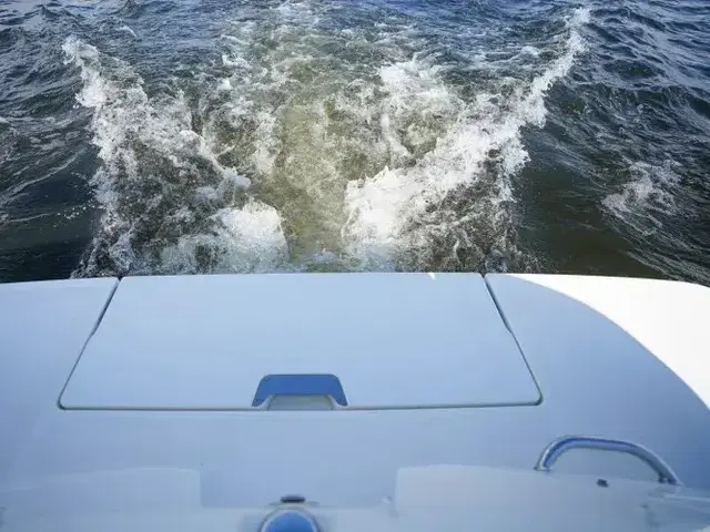 Sea Ray Sun Sport 230