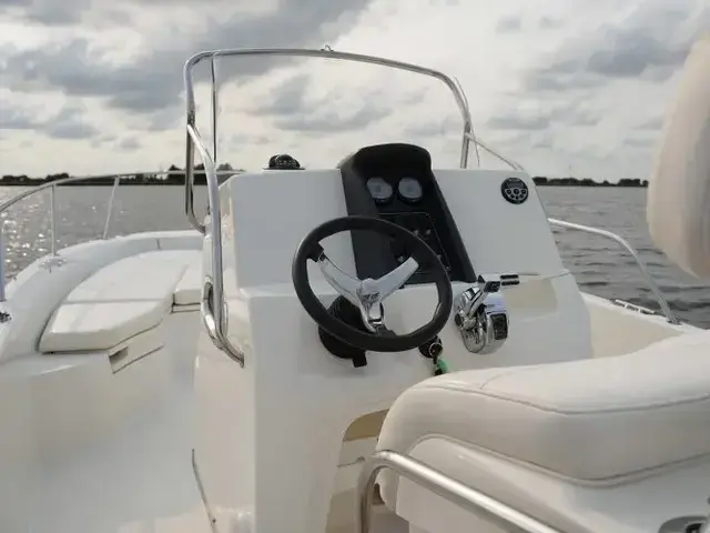 Boston Whaler 230 Dauntless