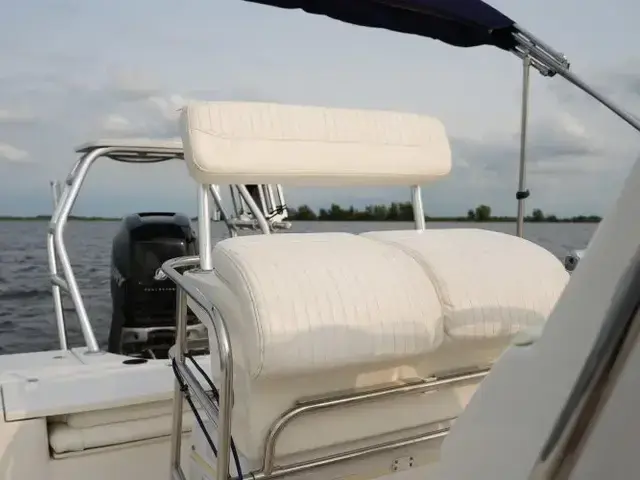 Boston Whaler 230 Dauntless