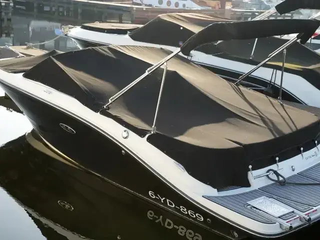 Sea Ray 190 Spx