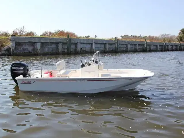 Boston Whaler 150 Montauk