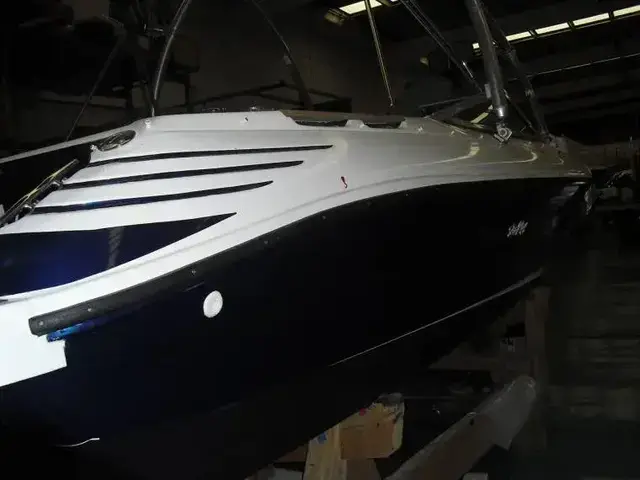 Sea Ray 200 Bowrider