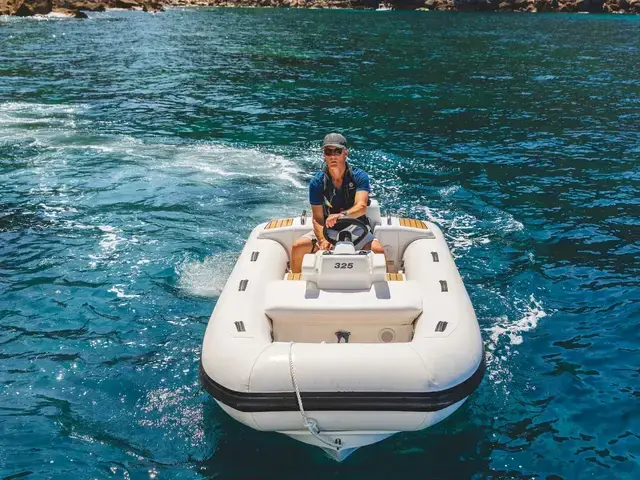 Williams Jet Tenders Turbojet 325