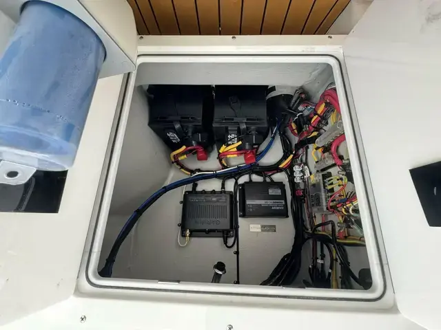 Novurania Catamaran 20