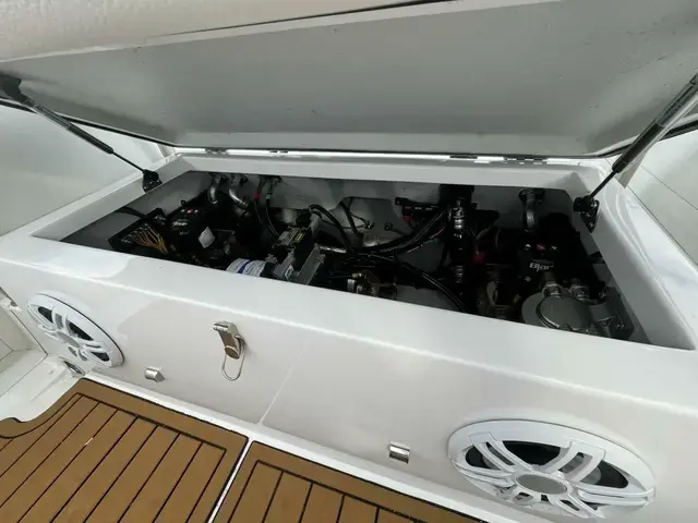 Novurania Catamaran 20