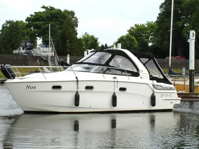 Bavaria Sport 28