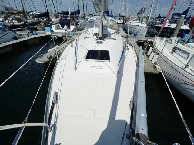 Bavaria 31