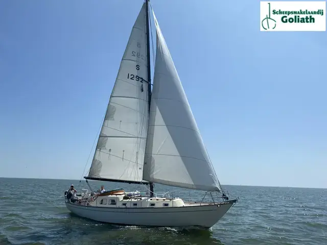 Classic Sailing Yacht Bacchant IV