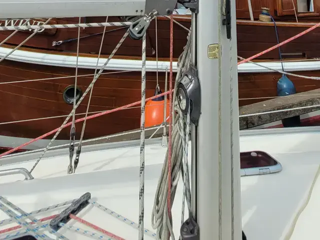 Bavaria 38 Cruiser