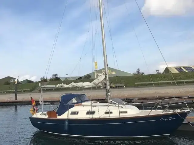 Sirena 27