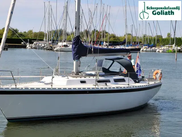 Spirit 36