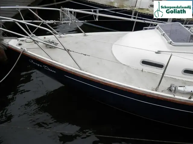 Sirena 27