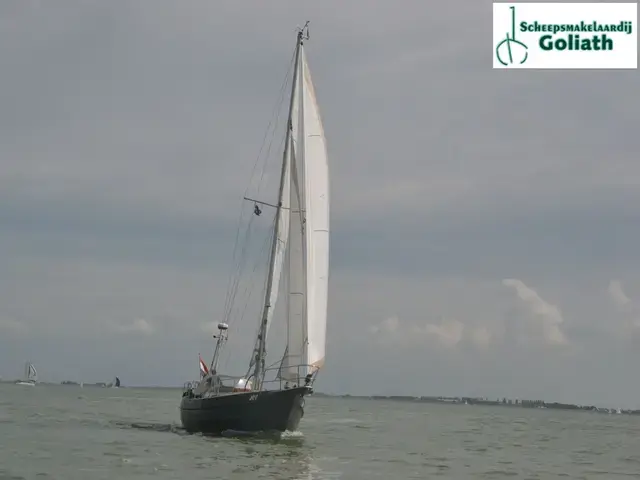 Danish Rose 31