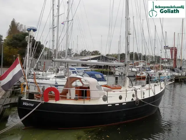 Danish Rose 31