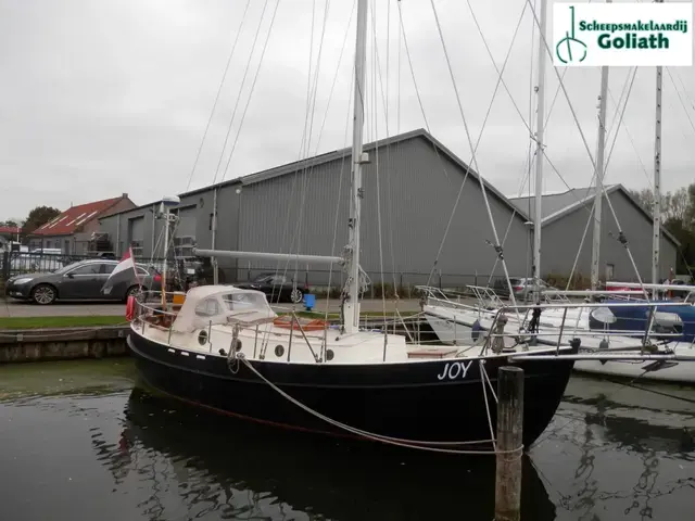 Danish Rose 31