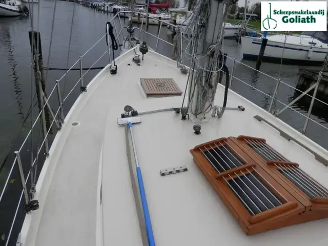 Danish Rose 31