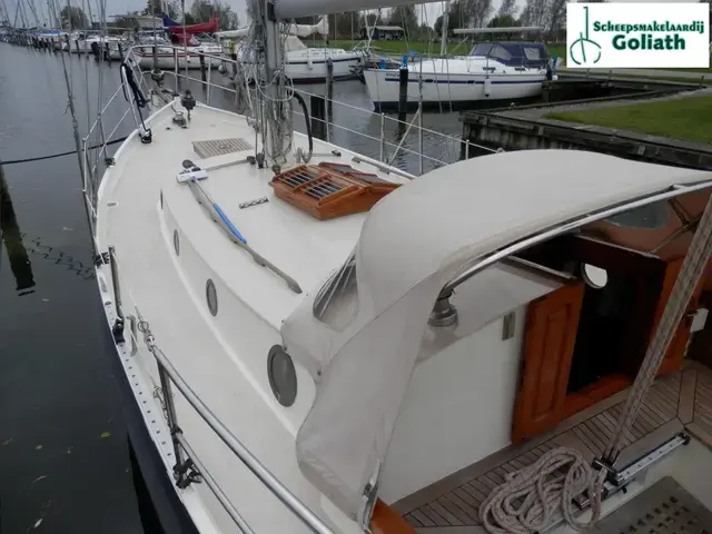 Danish Rose 31