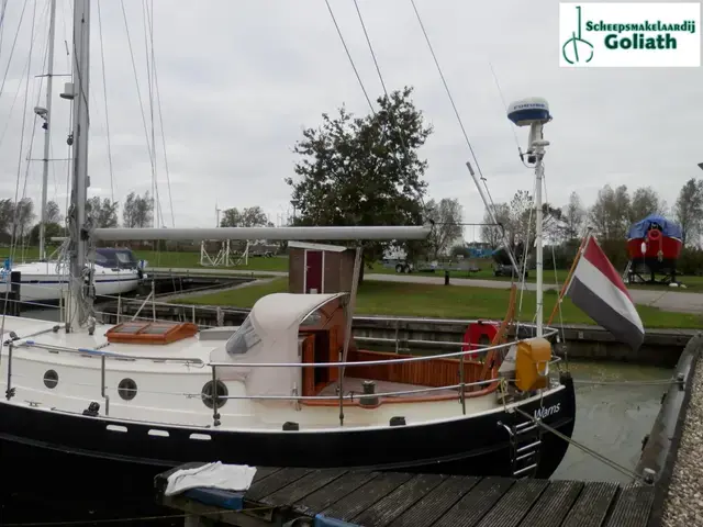 Danish Rose 31