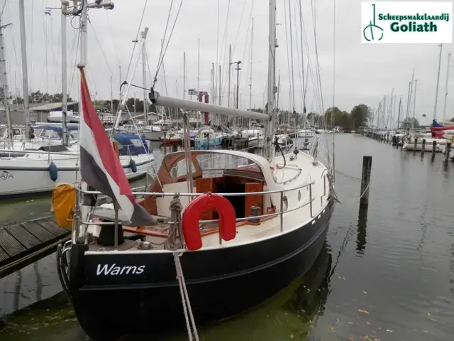 Danish Rose 31