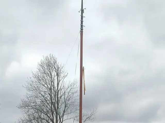 Westerdijk Zeeschouw