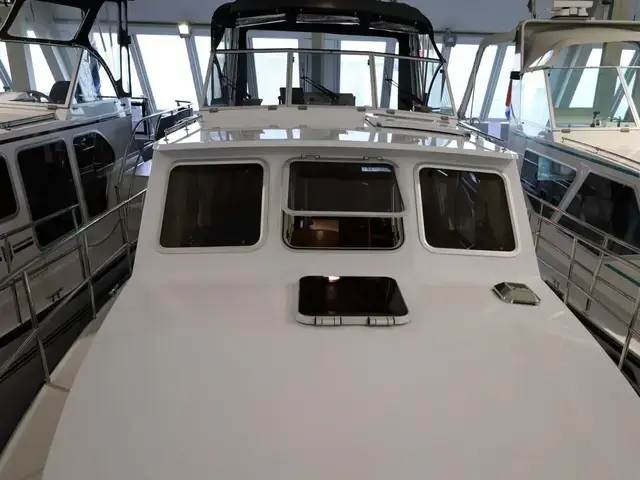 Pedro Skiron 35