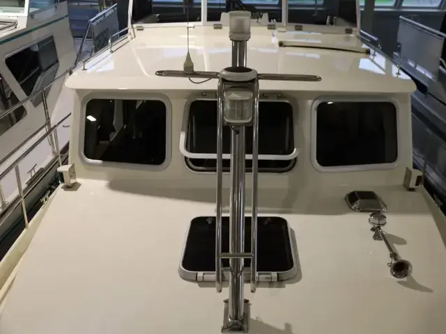 Pedro Boat Marin 30