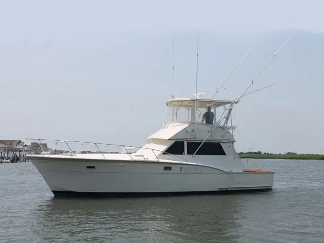 Sea Ranger 42 Convertible