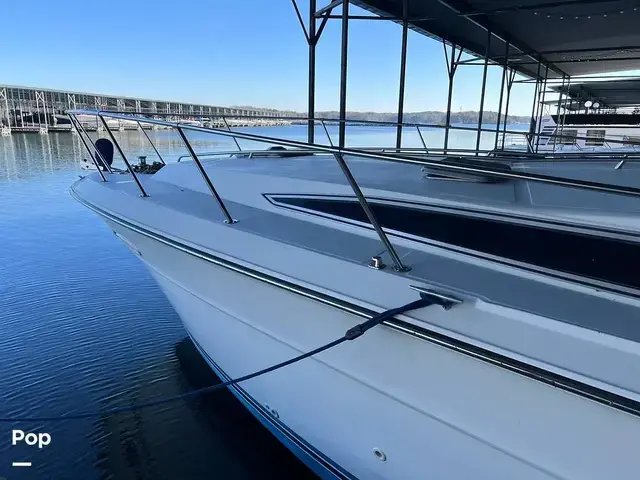 Sea Ray 390 Express Cruiser