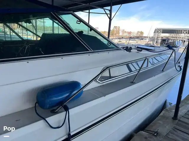 Sea Ray 390 Express Cruiser