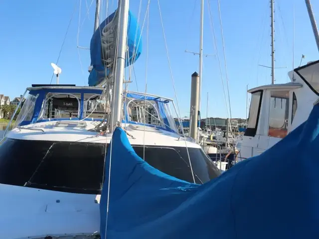 Manta 40