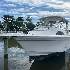 2000 Grady White 300 Marlin