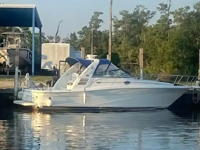 Sea Ray 340 Amberjack