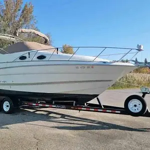 2004 Larson Cabrio 290