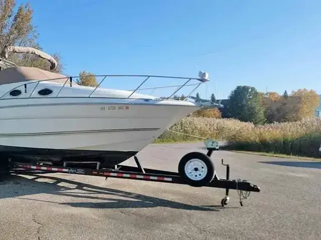 Larson Cabrio 290