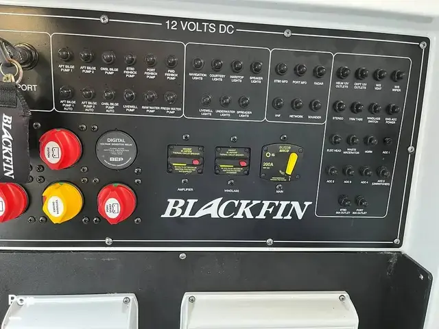 Blackfin 302 Cc