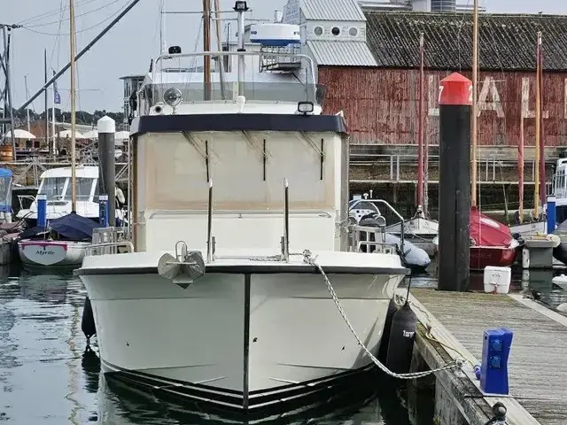 Botnia Targa 31