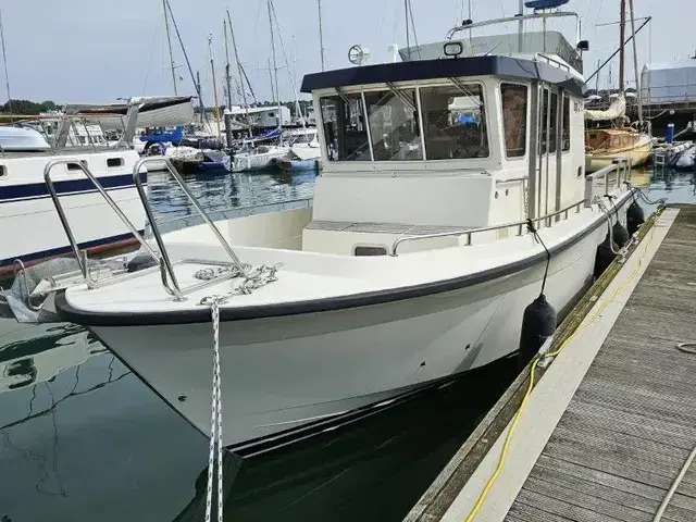 Botnia Targa 31