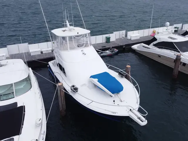 Luhrs 41 Convertible