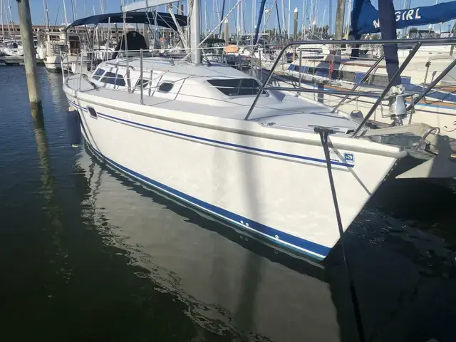 Catalina 320