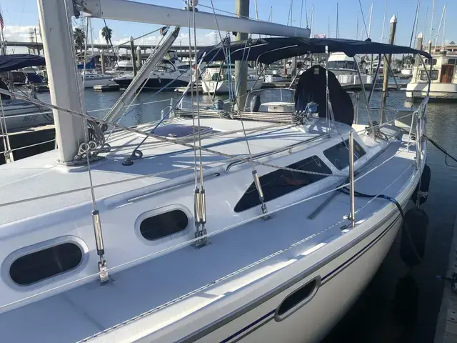 Catalina 320