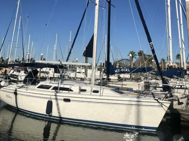 Catalina 320