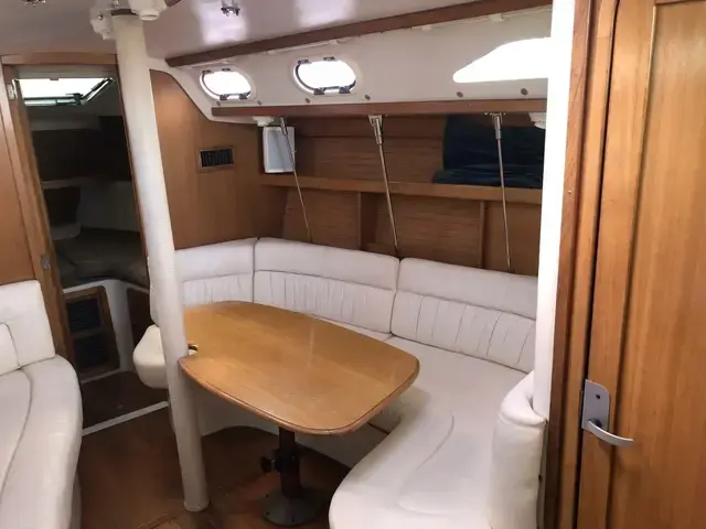 Catalina 320